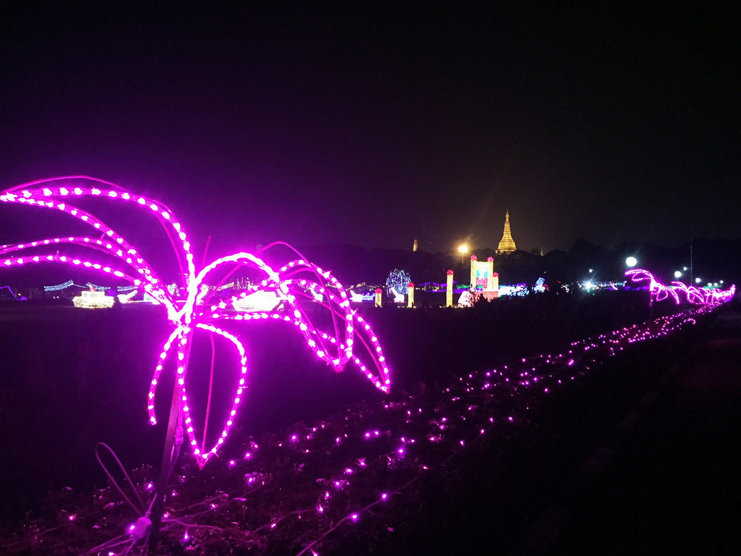 Lighting Festival